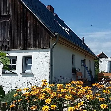 ホテル Zum Storchennest Kemnitz  エクステリア 写真